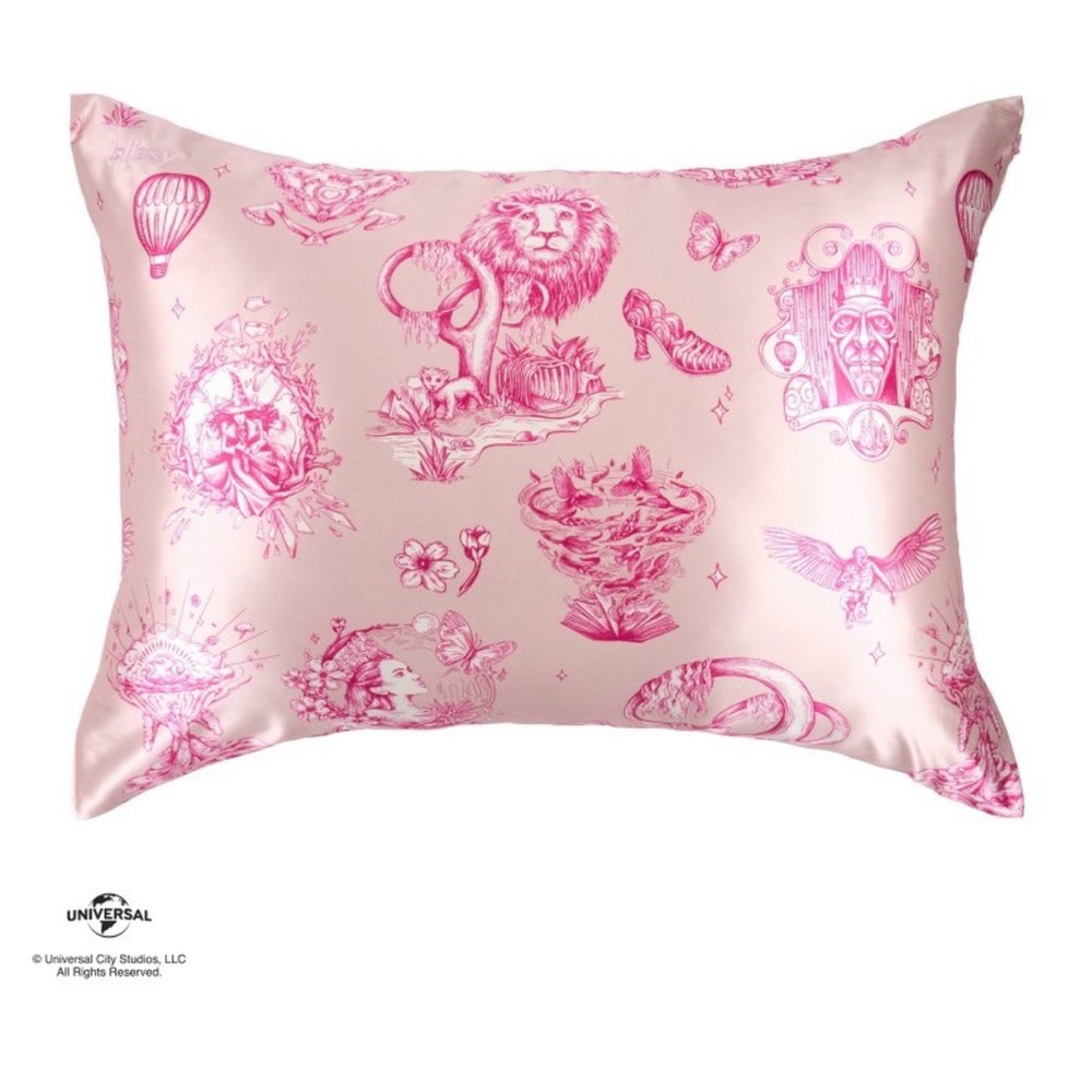Wicked: for good x Katie Kime blissy standard 600count amazifying pillowcase NEW